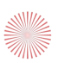 Solar ACE logo