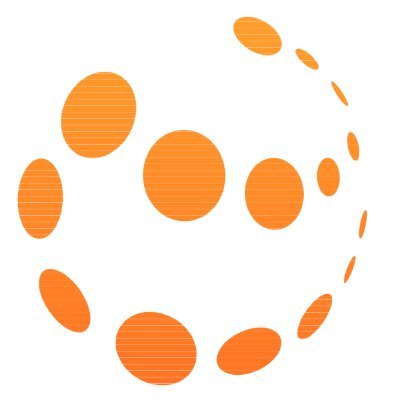 Nessa logo