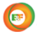 Energy and Fire logo