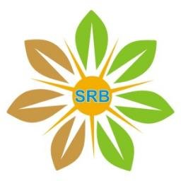 SRB Solar logo
