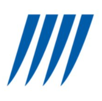 Sterlite Power logo
