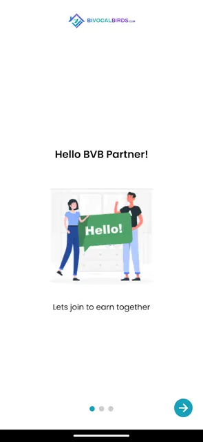 BVB Partners screenshot 1