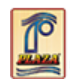 Plaza Cables logo