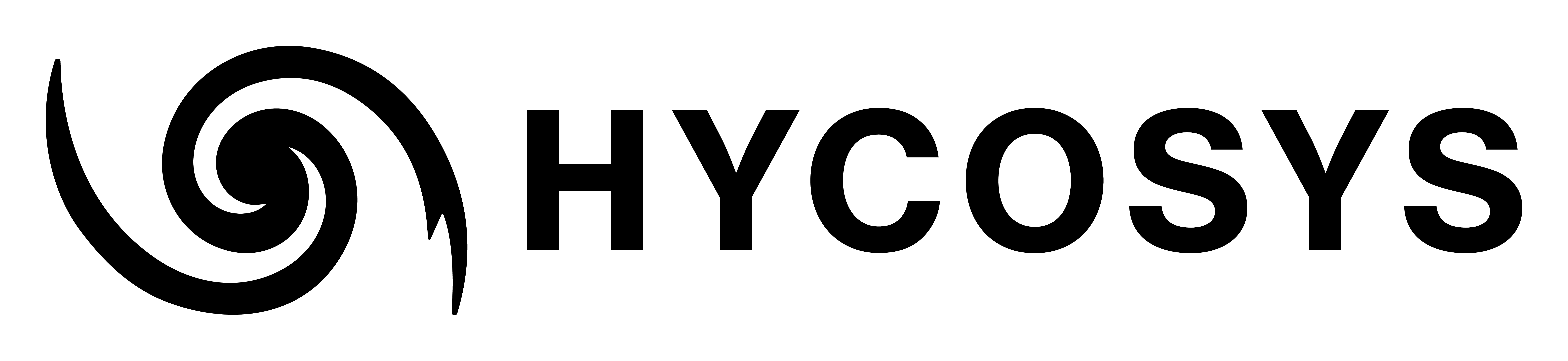 Hycosys logo