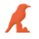 Corvid logo