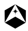 Blumotiv logo