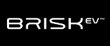 Brisk logo