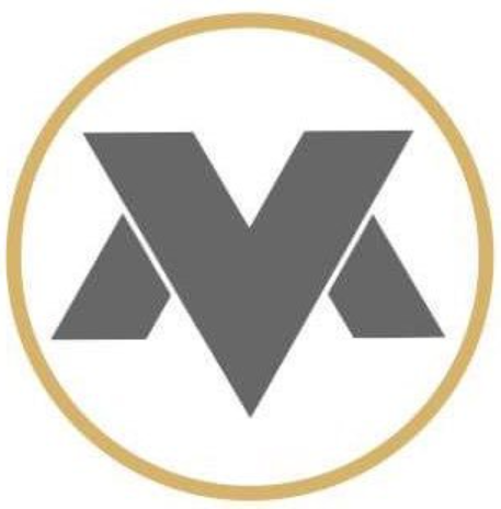 Virtus Motors logo