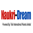 Naukri-Dream logo