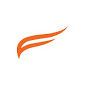 Falcon eBiz logo