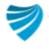 Visdum logo