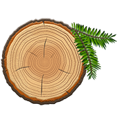 PineStem logo
