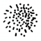 Neweb logo