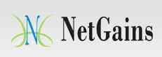 NetGains Technologies logo