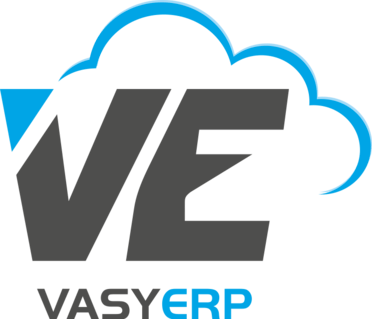 VasyERP logo