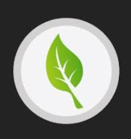 Neem Solutions logo