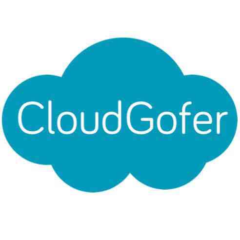 cloudgofer logo