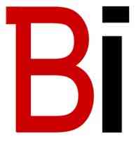 brandintelle services logo