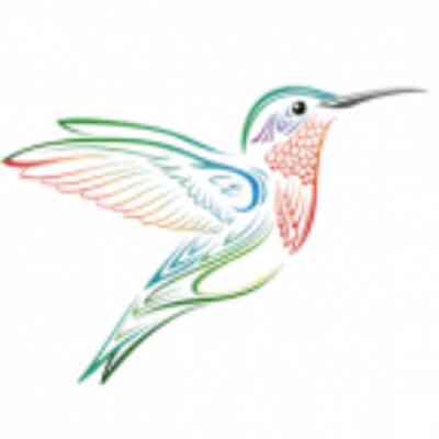Hummingbird Web Solutions logo