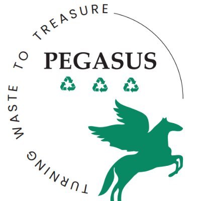 Pegasus Waste Management logo