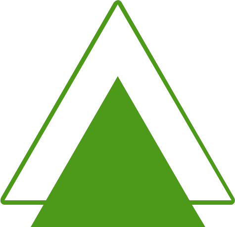 Pyro Plastica logo