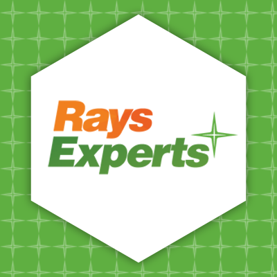 Rays Power Expert logo