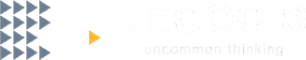 Tecogis logo