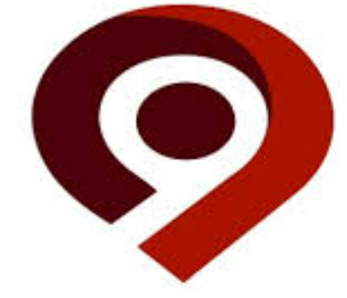 Proxela Projects logo