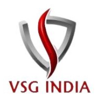VSG India logo