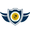 LDS Guarding Solutions logo