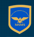 Modern D.L Security Management Services logo