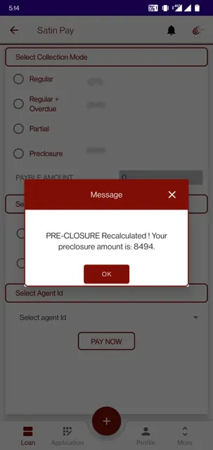 Satin Creditcare Network Ltd. screenshot 5