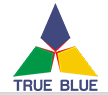 True Blue Asset Services logo