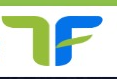 Tradflow logo