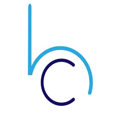 BitsCrunch logo