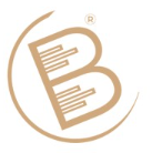BRIK itt logo