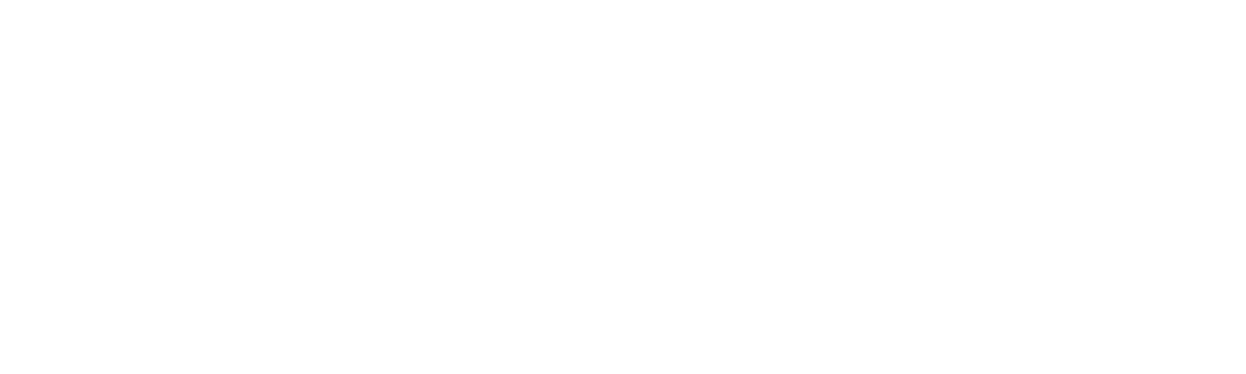 Blueweight logo