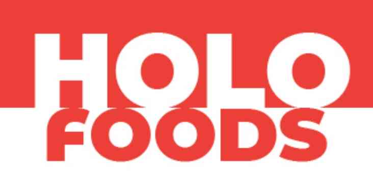 holo foods logo