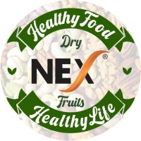 Nex-int logo