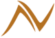 VN Overseas logo