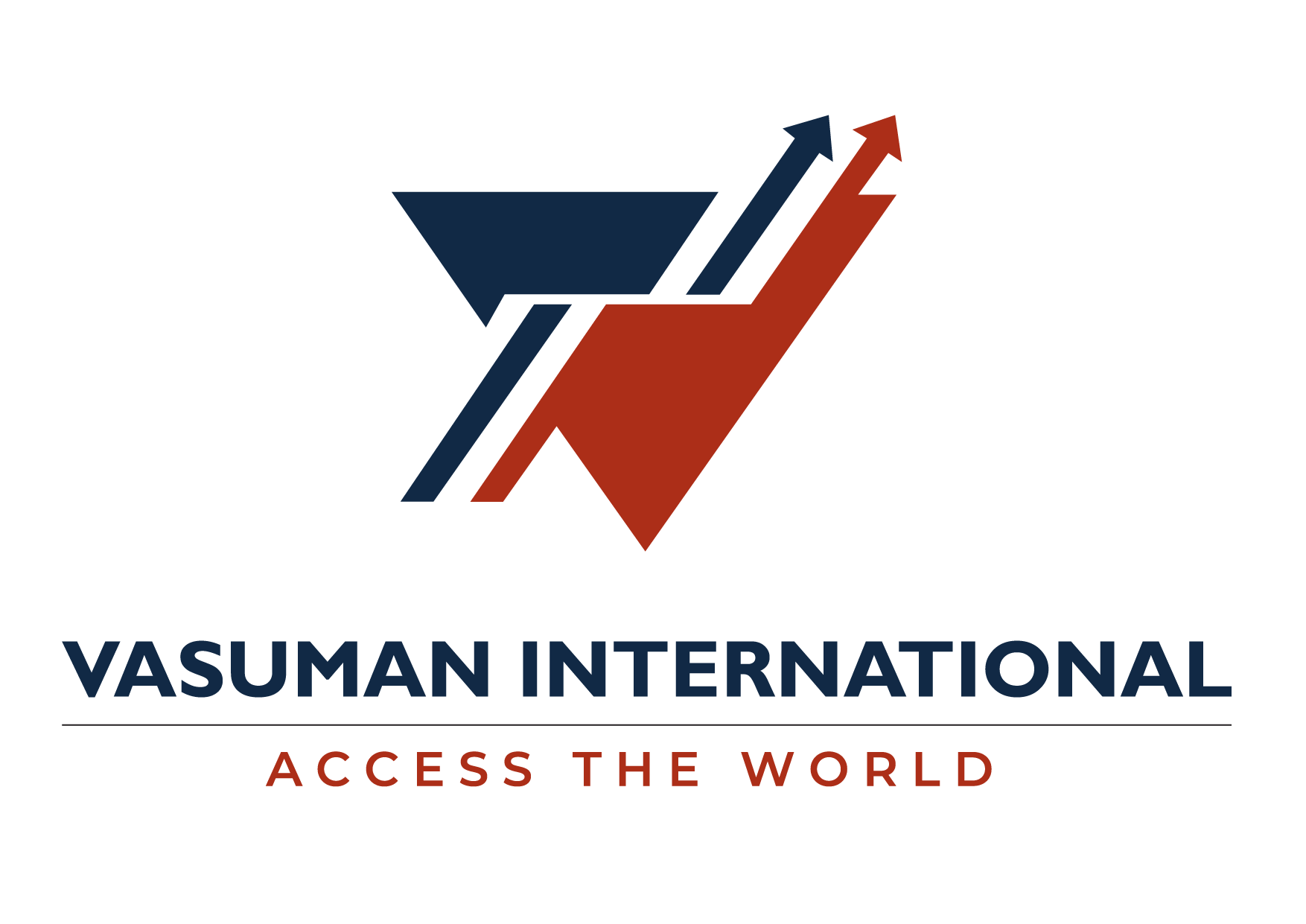 Vasuman International logo