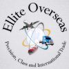 Ellite Overseas logo