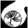EzGrow Foodworks logo