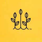 Salad Days logo