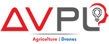 AVPL International logo