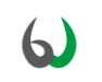 Brainwired logo