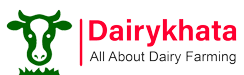 DairyKhata logo