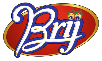 Brij Namkeen logo