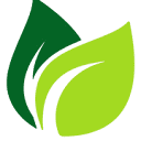 Golden Buds Tea logo