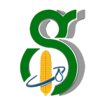 ShreeGluco logo